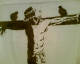 050812.arofish12_t.gif