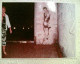 050812.arofish3_t.gif