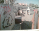 050812.arofish7_t.gif