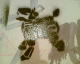 060607.graf2_t.gif