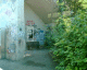 060818.Graf2_t.gif