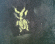 070304.Graf1_t.gif