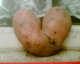 050719.Heart2_t.gif