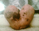 050719.heart3_t.gif