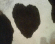 050719.heart6_t.gif