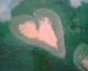 050720.heart6_t.gif