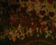 050722.heart2_t.gif