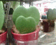 060213.Ikea_heart4_t.gif