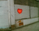 060226.heartwall1_t.gif
