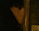 060228.heart1_t.gif