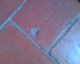 060403.Heart_Mex1_t.gif