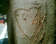 060403.Heart_Mex2_t.gif