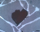 060407.Heart1.v1_t.gif