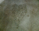 060407.heart2_t.gif