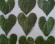 060520.Heart5_t.gif