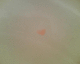 060710.heart_t.gif