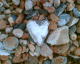 060722.heart1_t.gif