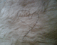 061203.heart4_t.gif