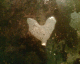 070101.Bakingtray_heart_t.gif