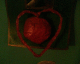 070115.H_circle_heart_t.gif
