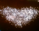 070126.heart6_t.gif