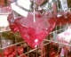 070211.Heart3_t.gif