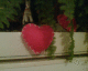 070217.heart_t.gif