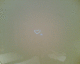 070525.heart_baby_t.gif