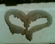 070630.heart2_t.gif