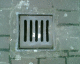 060220.BL21_t.gif