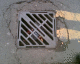 060220.BL2_t.gif