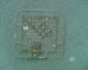060220.BL31_t.gif