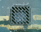 060220.BL32_t.gif