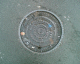 060220.BL8_t.gif