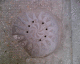 060221.ec2a10_t.gif