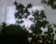 060404.D_FridaMex2_t.gif