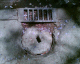 060404.D_TrotskyMex1_t.gif