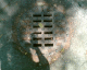 060404.D_mex2_t.gif