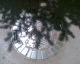 060405.D_mex1_t.gif