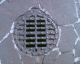 060407.D_Guadaloupe3_t.gif