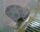 060413.D_Mex1_t.gif