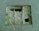 060413.D_Mex6_t.gif
