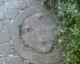 060413.D_Mex8_t.gif