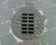060413.D_Mex9_t.gif