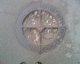 060630.D_Moscow10_t.gif