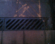 060723.M_hastings1_t.gif