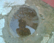 060723.M_hastings2_t.gif