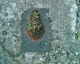 060724.M_leavalley3_t.gif