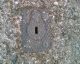 060724.M_leavalley_t.gif