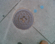 060818.D_Swiss4_t.gif